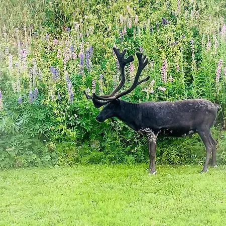 I Nord Apartmán *